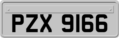 PZX9166