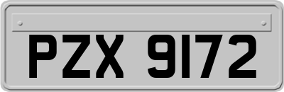 PZX9172