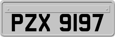 PZX9197