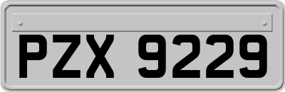 PZX9229