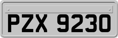 PZX9230