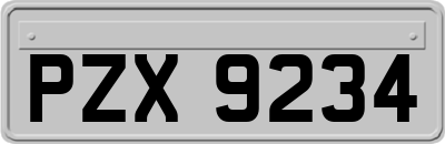 PZX9234