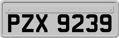 PZX9239