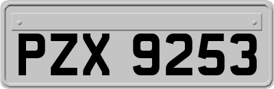 PZX9253