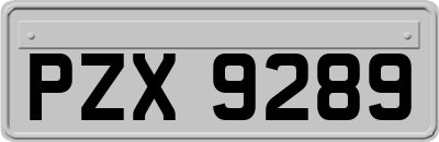 PZX9289