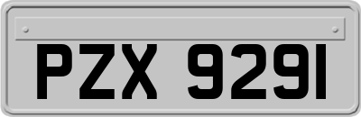 PZX9291