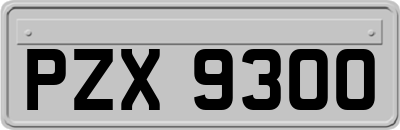 PZX9300