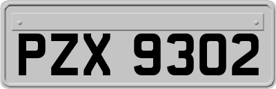 PZX9302