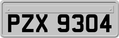 PZX9304