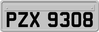 PZX9308