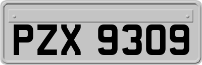 PZX9309