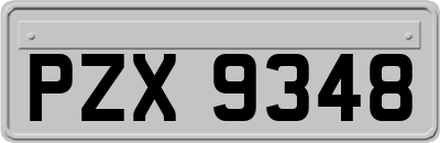 PZX9348