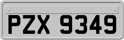 PZX9349