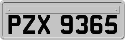 PZX9365