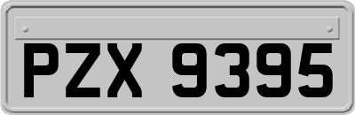 PZX9395