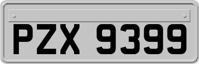 PZX9399