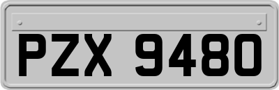 PZX9480