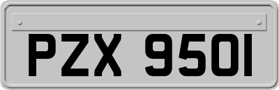 PZX9501