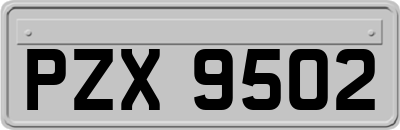 PZX9502