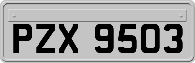 PZX9503
