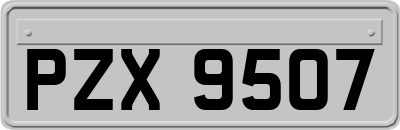 PZX9507