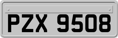 PZX9508
