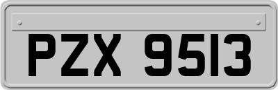 PZX9513