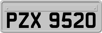 PZX9520