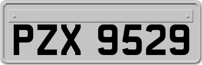 PZX9529
