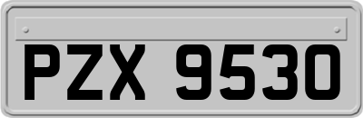 PZX9530