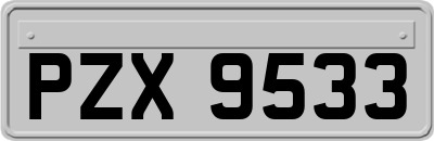PZX9533