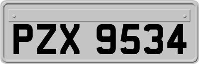 PZX9534