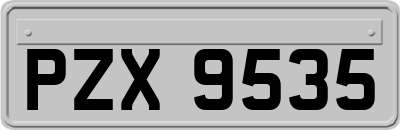 PZX9535
