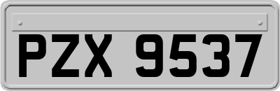 PZX9537