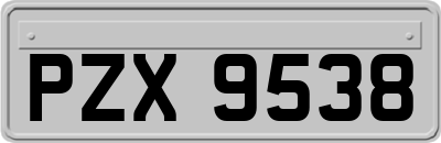 PZX9538