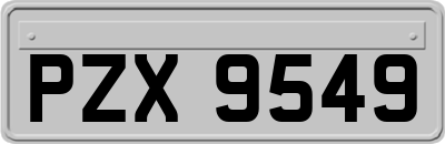 PZX9549