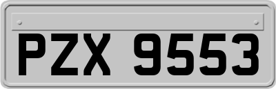 PZX9553