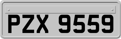 PZX9559