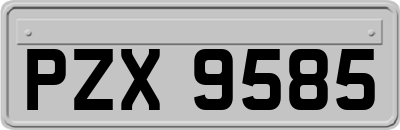 PZX9585
