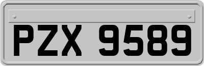PZX9589