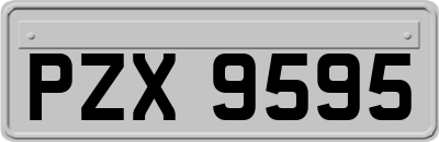 PZX9595