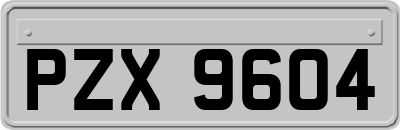 PZX9604