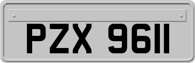 PZX9611
