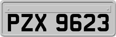 PZX9623