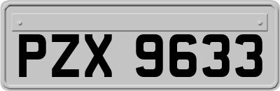 PZX9633
