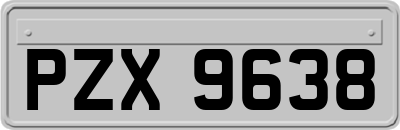 PZX9638