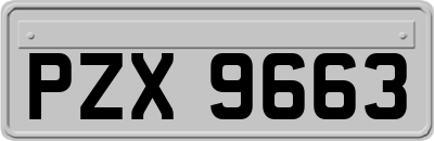 PZX9663