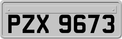 PZX9673