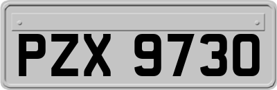 PZX9730