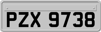 PZX9738